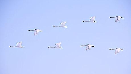 《饿狼传说：狼之城》官宣举行公开B测 2月20日开启